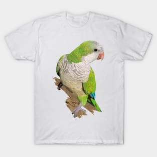 Argentine Parakeet T-Shirt